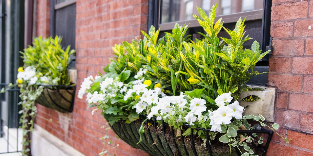 The DWIGHT D A Boutique Hotel - thumb 26