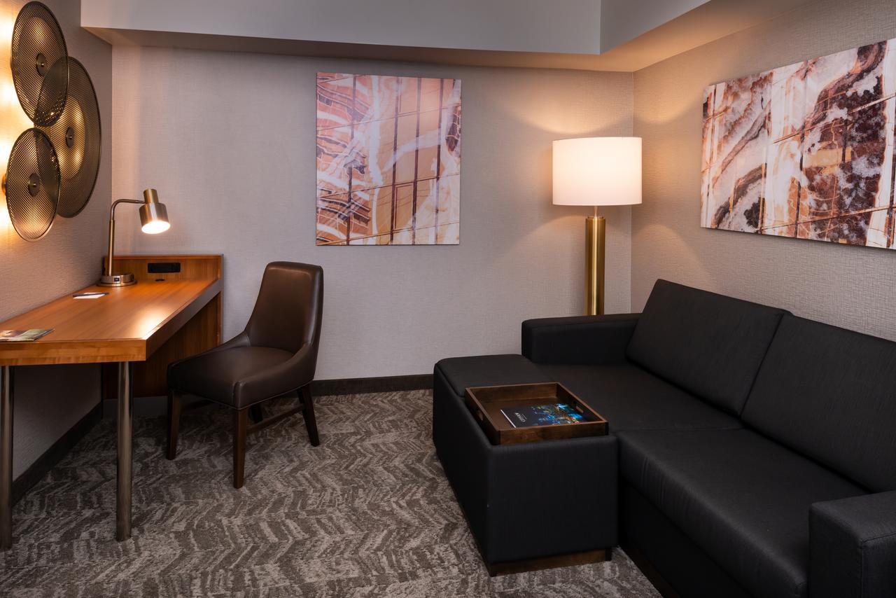 SpringHill Suites By Marriott Pittsburgh North Shore - thumb 20