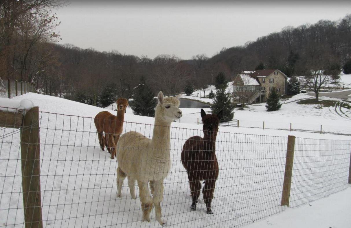 Airy View Bed And Breakfast - thumb 9