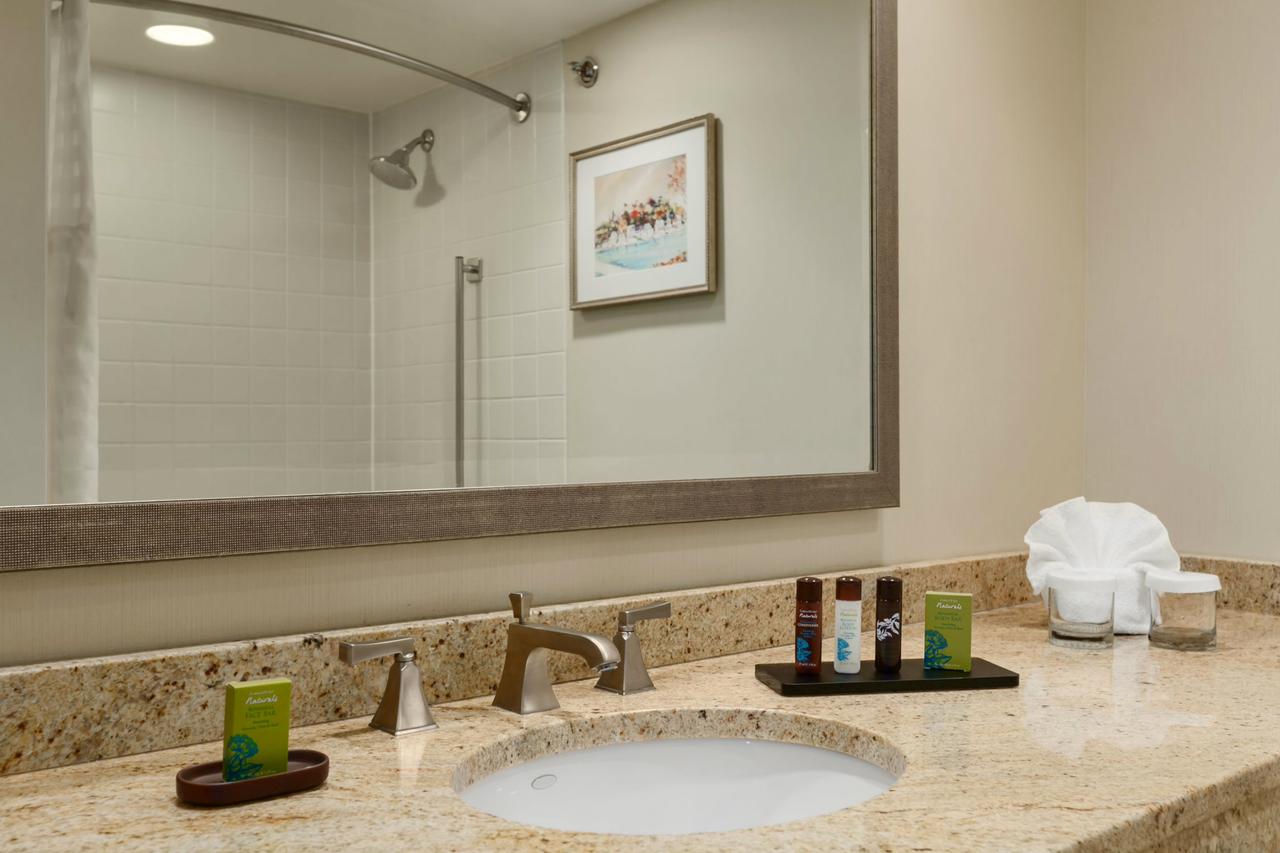 Embassy Suites Philadelphia-Valley Forge - thumb 16