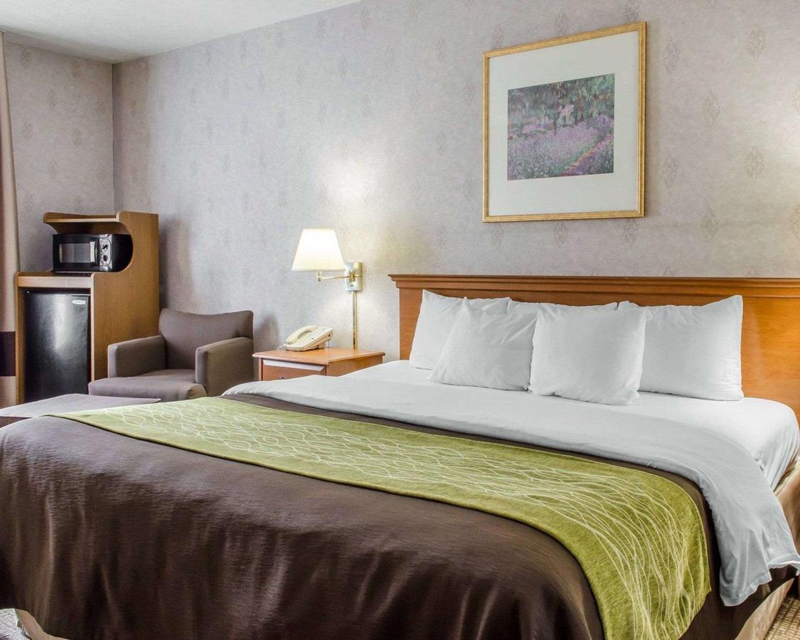 Comfort Inn Huntingdon - thumb 9