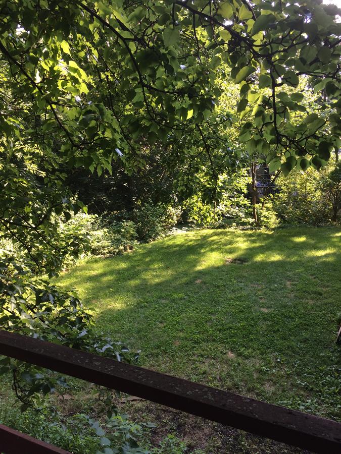 PSU Rental!!! Close To Campus - thumb 6