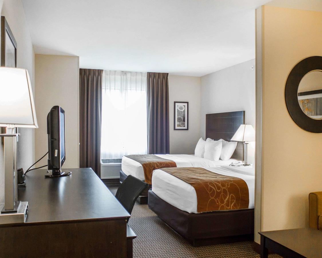 Comfort Suites Lewisburg - thumb 7