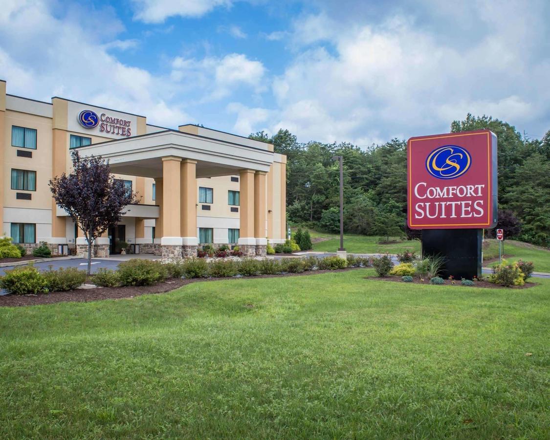 Comfort Suites Lewisburg - thumb 3