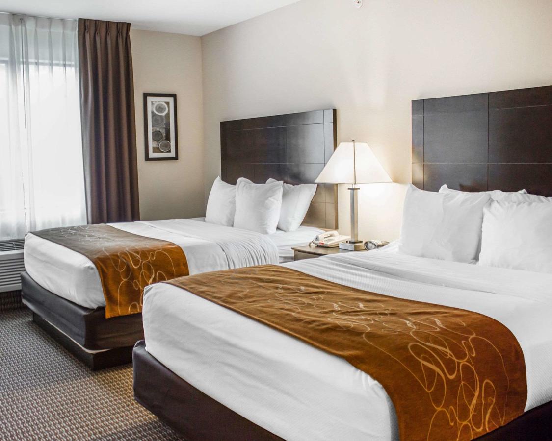 Comfort Suites Lewisburg - thumb 14