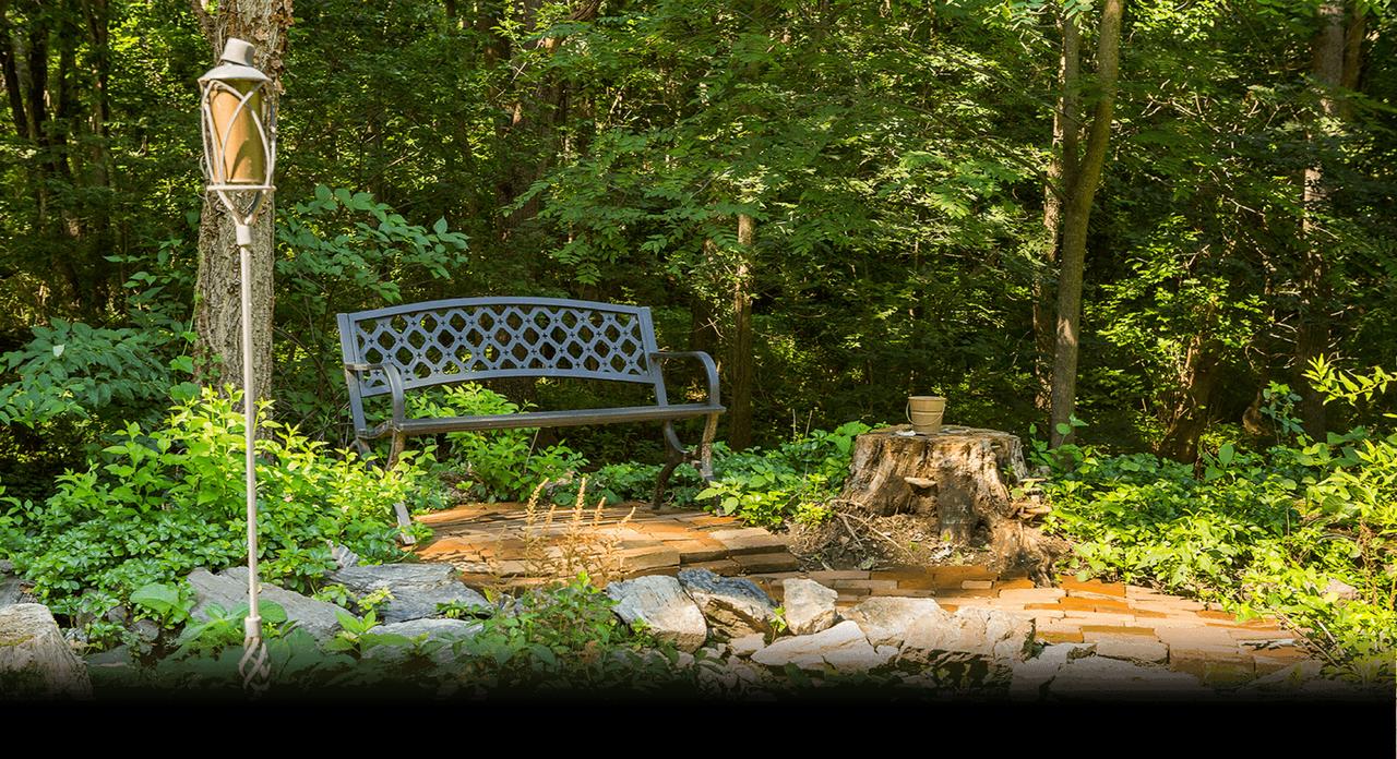 The Hollinger House - thumb 31