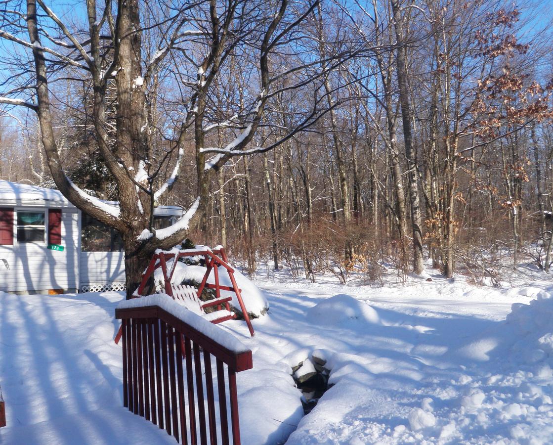 The Little Cozy House - thumb 2