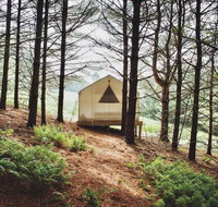 Tentrr - Forest Hideaway - USA Accommodation