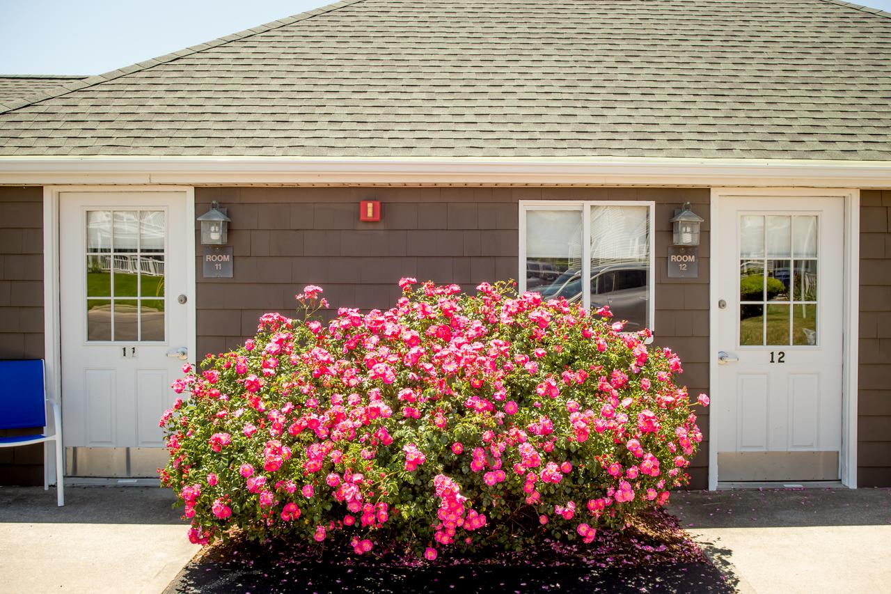 Ocean Rose Inn - thumb 16