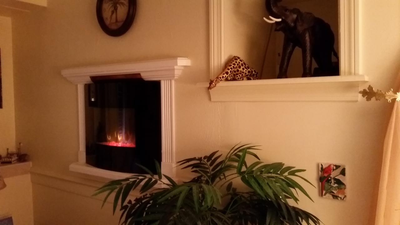 1 Murray House Bed & Breakfast - thumb 6
