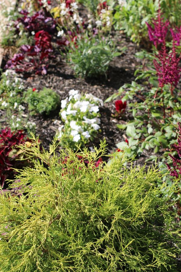 Shelter Harbor Inn - thumb 7