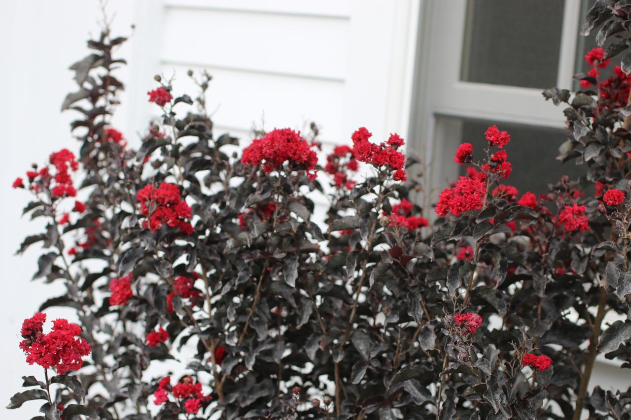 Shelter Harbor Inn - thumb 3