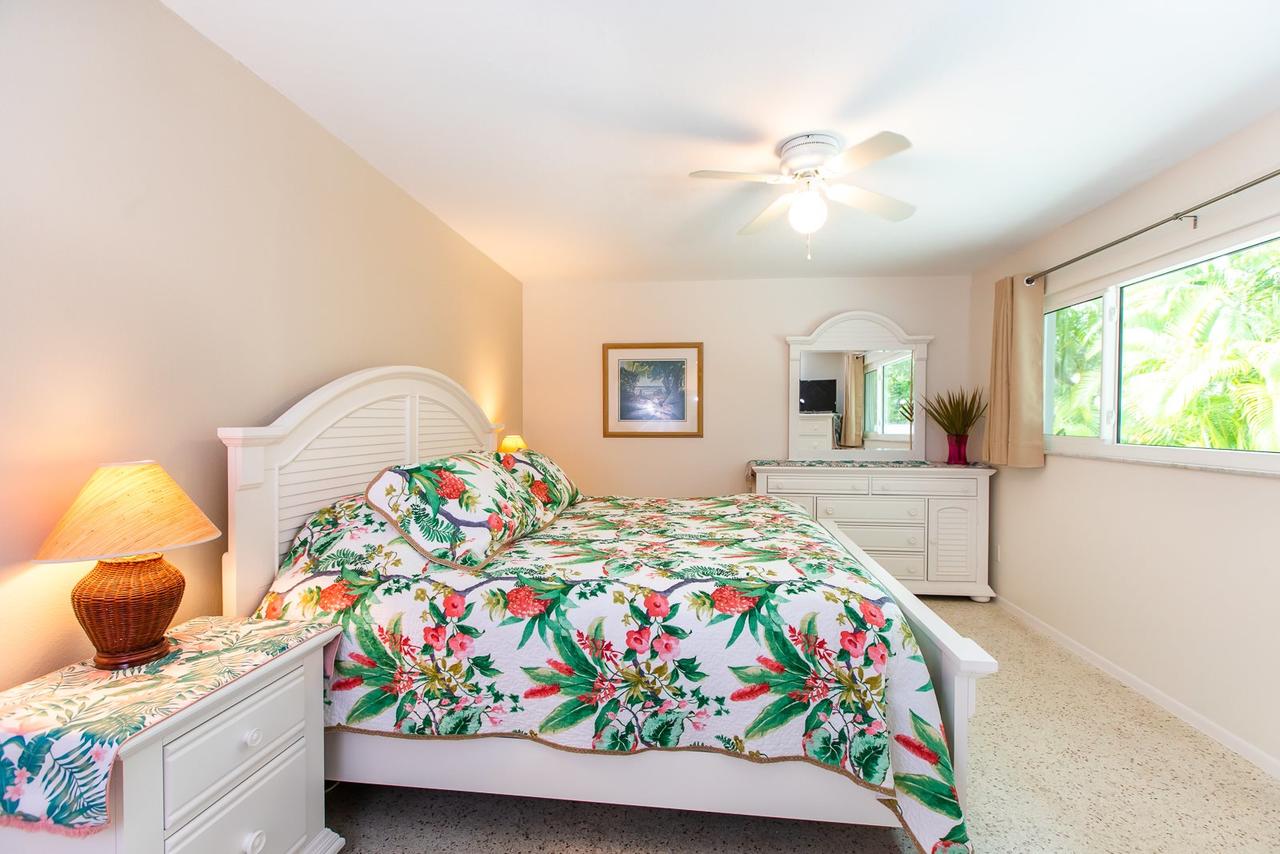 A CENTER OF PARADISE - thumb 13