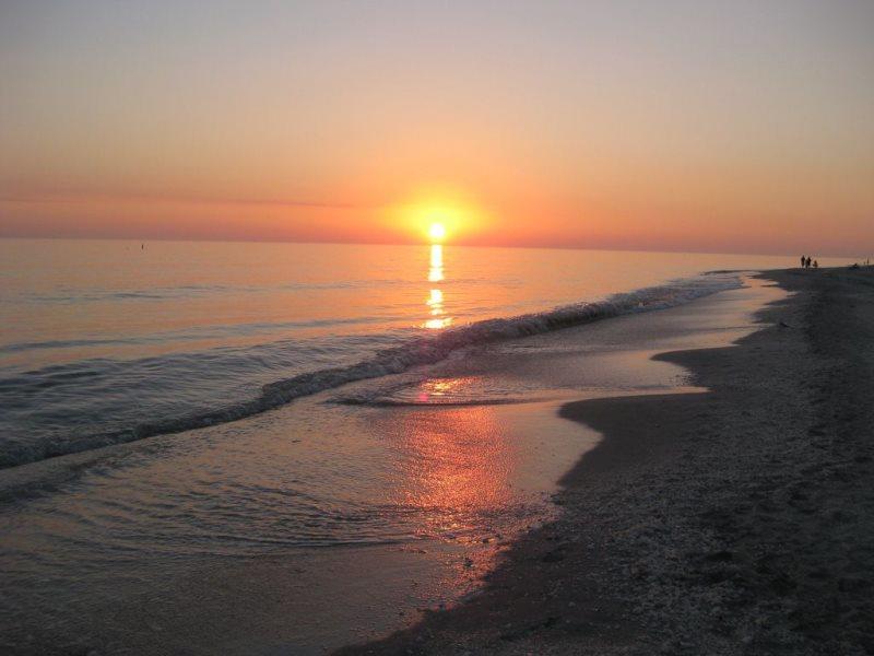 Sanibel Arms C6 - thumb 2