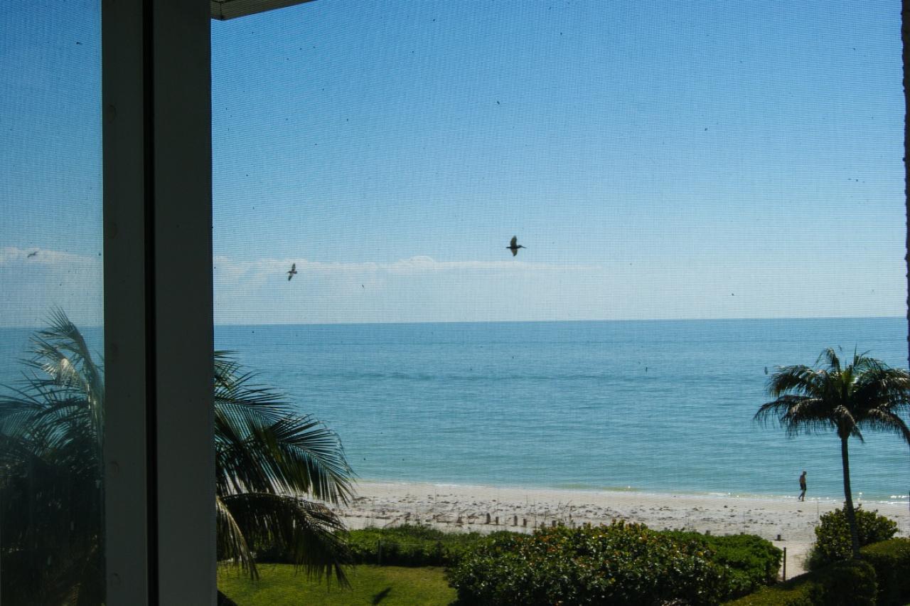 Island Beach Club #P3E - thumb 1