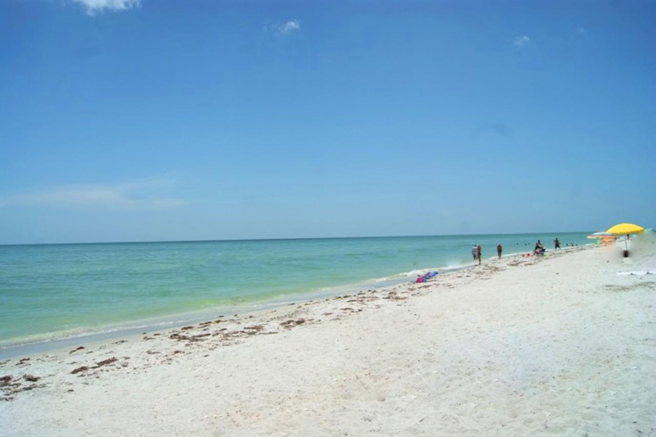 Pine Cove #304 - thumb 0