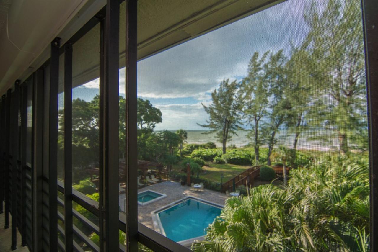 Pine Cove #304 - thumb 5