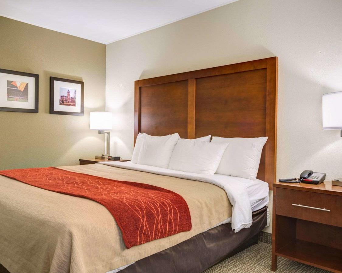 Comfort Inn Clemson - University Area - thumb 13