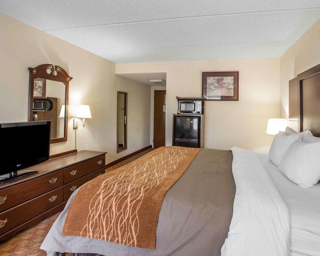 Comfort Inn & Suites At I-85 - thumb 14