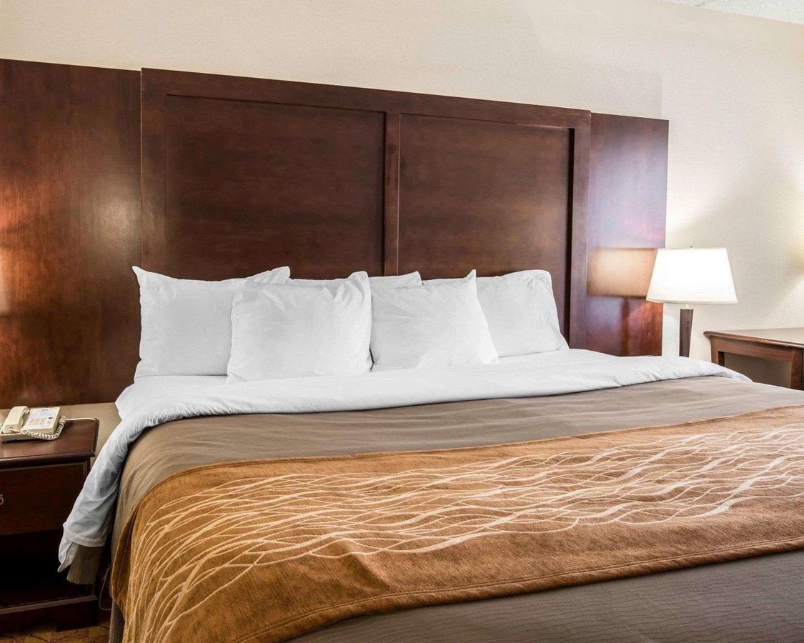 Comfort Inn & Suites At I-85 - thumb 26