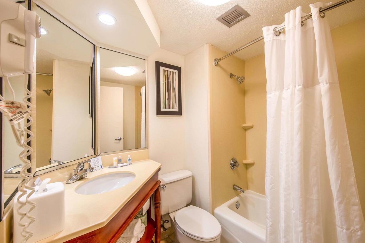 Comfort Inn Greenville - Haywood Mall - thumb 14