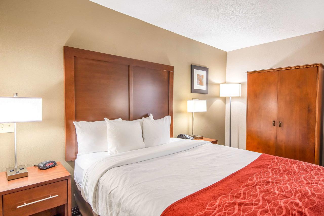 Comfort Inn Greenville - Haywood Mall - thumb 17