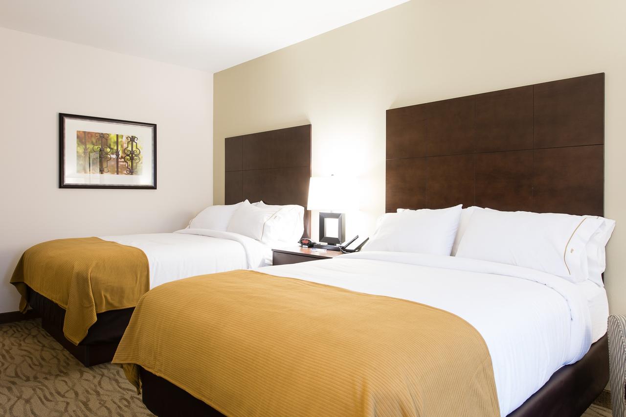 Holiday Inn Express & Suites Aiken - thumb 5