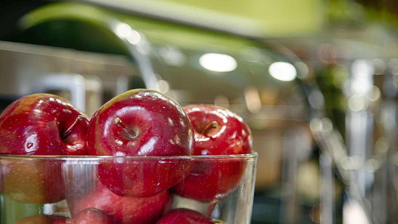 Best Western Plus Airport Inn & Suites - North Charleston - thumb 2