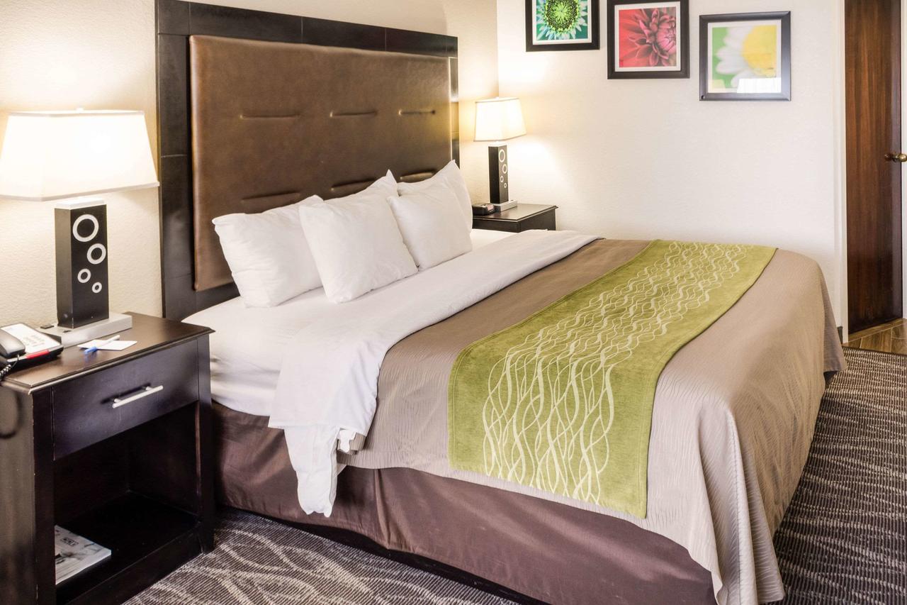 Comfort Inn Downtown Charleston - thumb 35