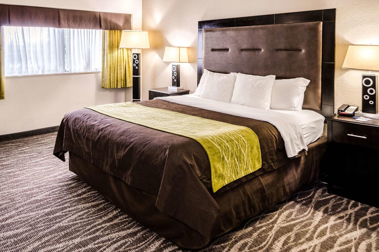 Comfort Inn Downtown Charleston - thumb 7