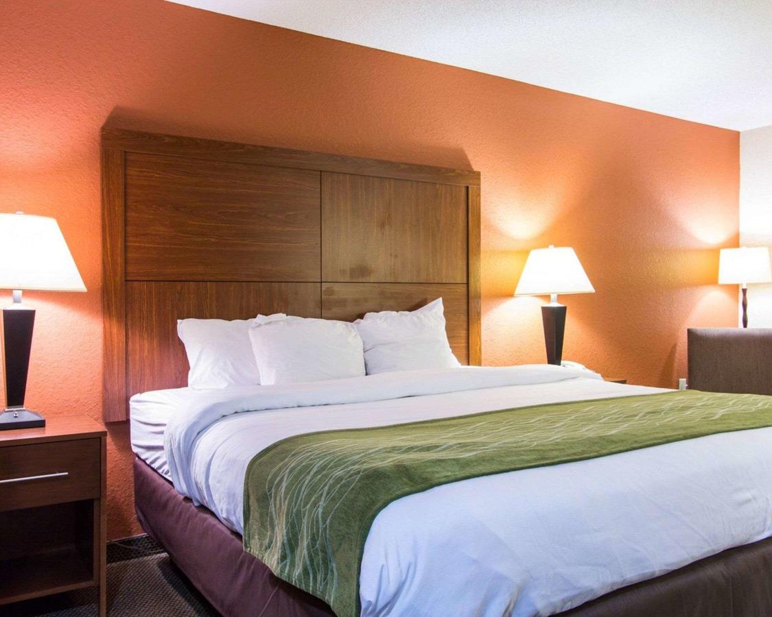 Comfort Inn & Suites Convention Center - thumb 11