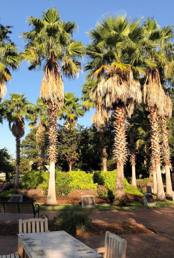 Stylish Downtown Cottage - Prime Historic Location - thumb 32