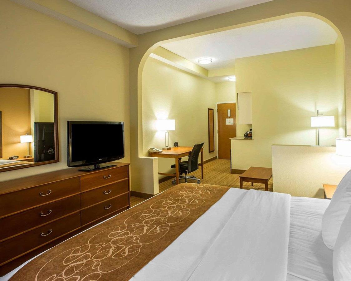 Comfort Suites Anderson - thumb 9