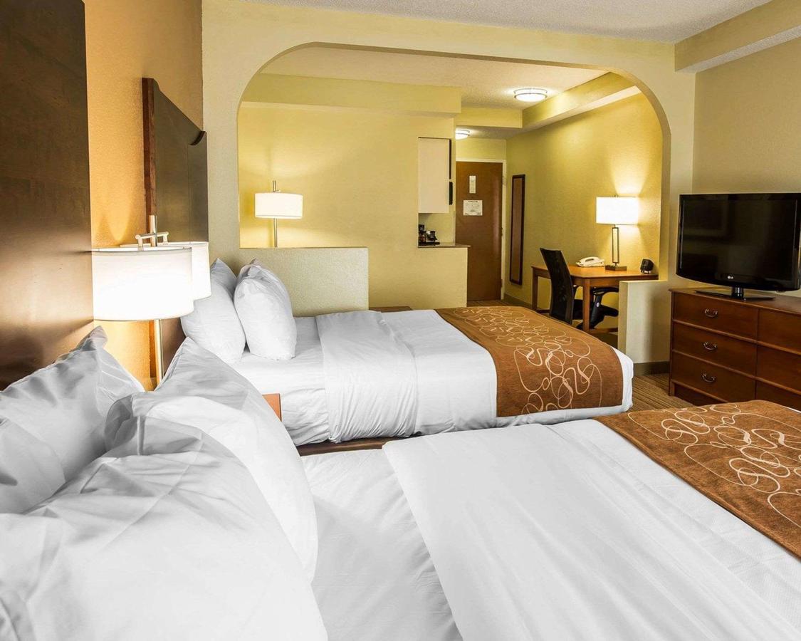 Comfort Suites Anderson - thumb 24