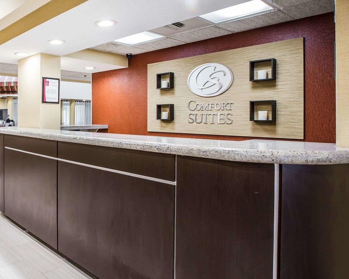 Comfort Suites Anderson - thumb 3