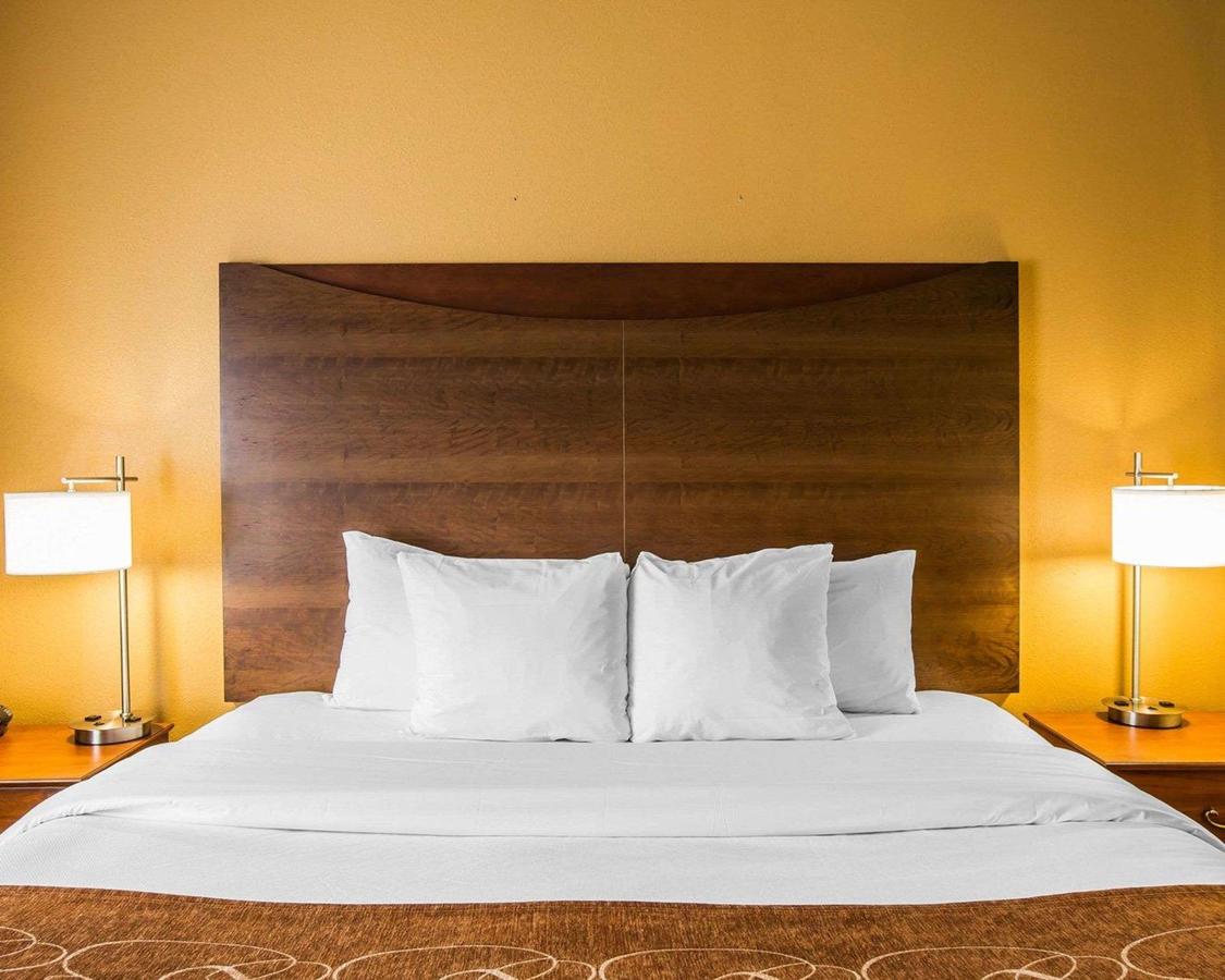 Comfort Suites Anderson - thumb 5