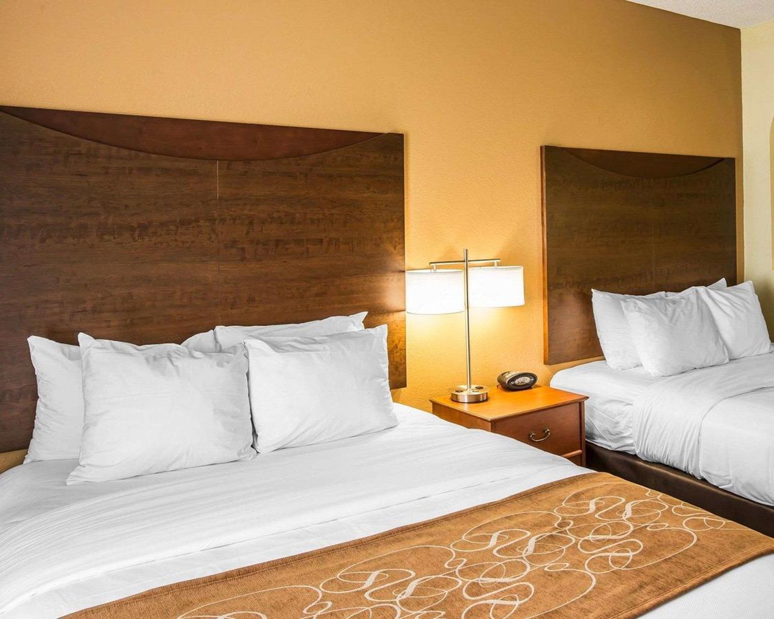 Comfort Suites Anderson - thumb 2