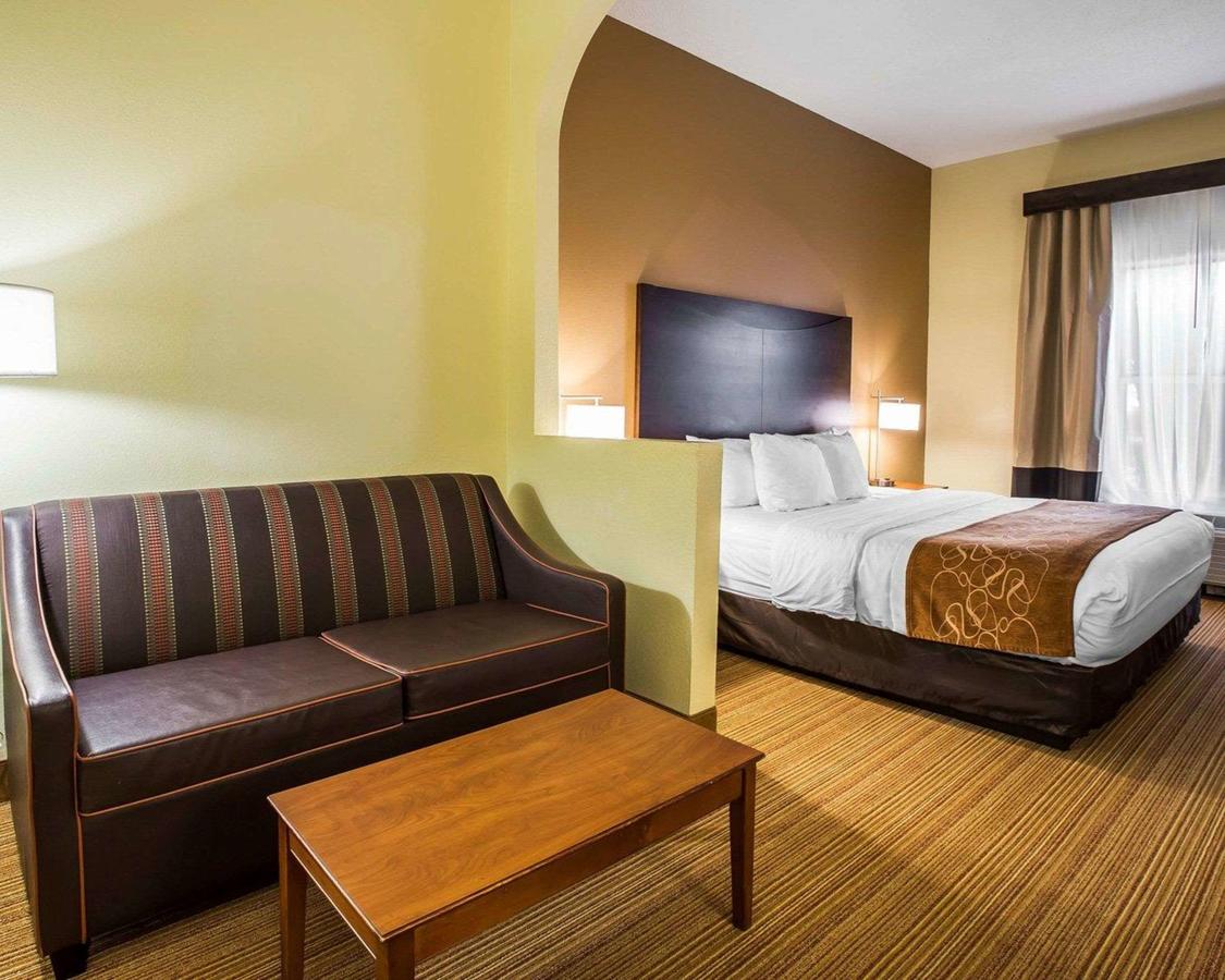 Comfort Suites Anderson - thumb 26