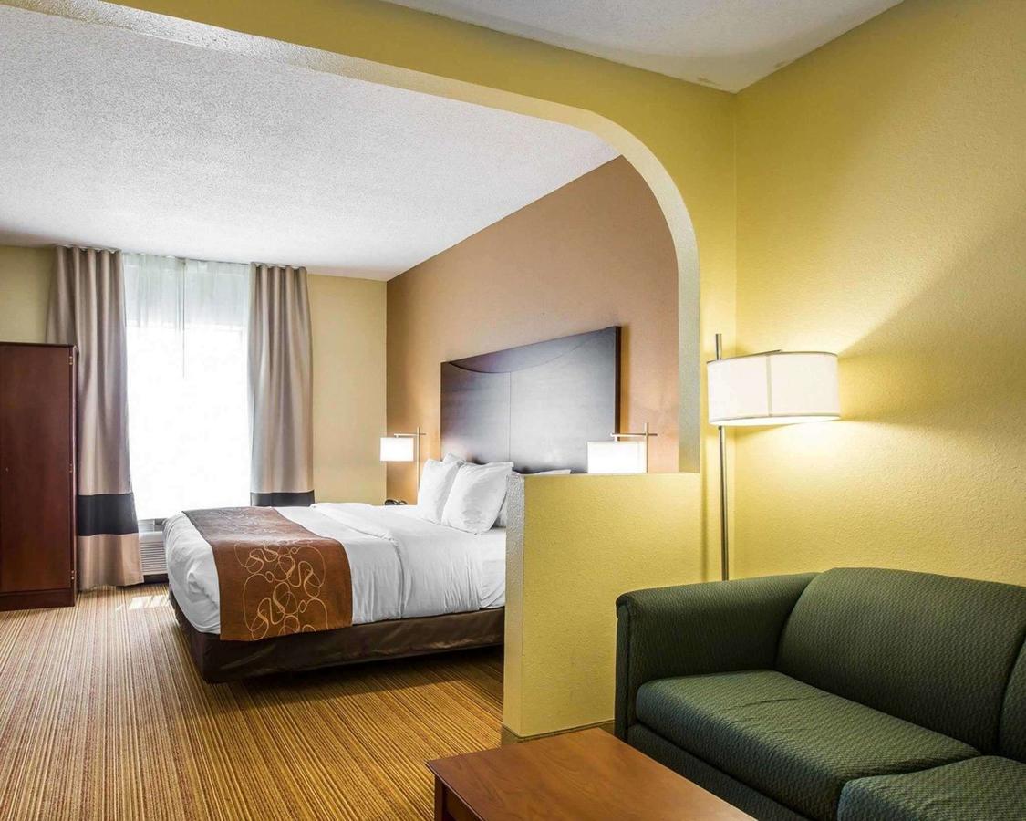 Comfort Suites Anderson - thumb 7