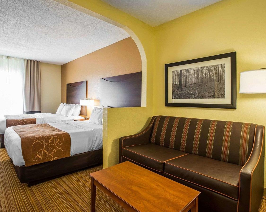 Comfort Suites Anderson - thumb 10