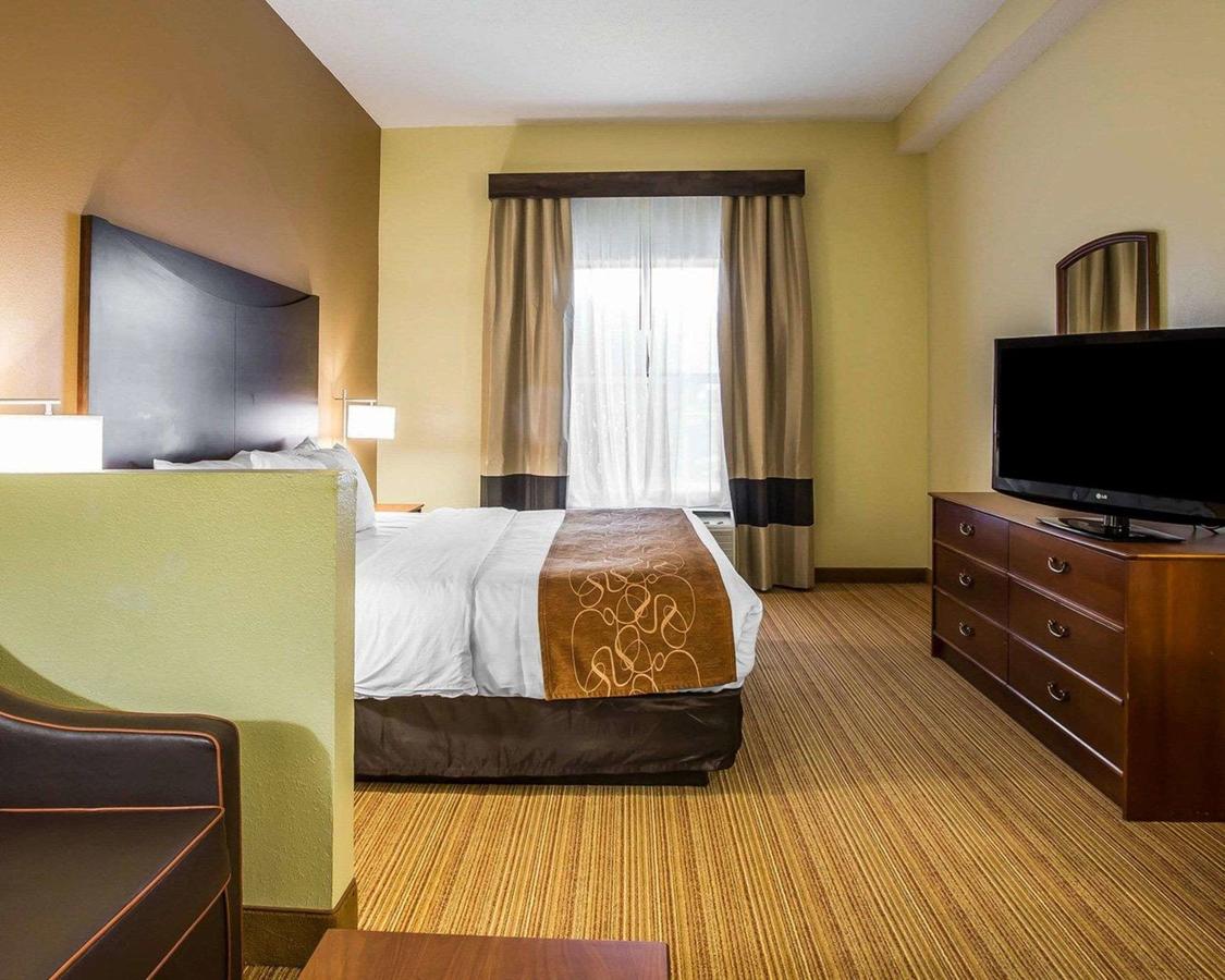 Comfort Suites Anderson - thumb 14