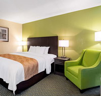 Quality Inn St George I-95 - USA Accommodation