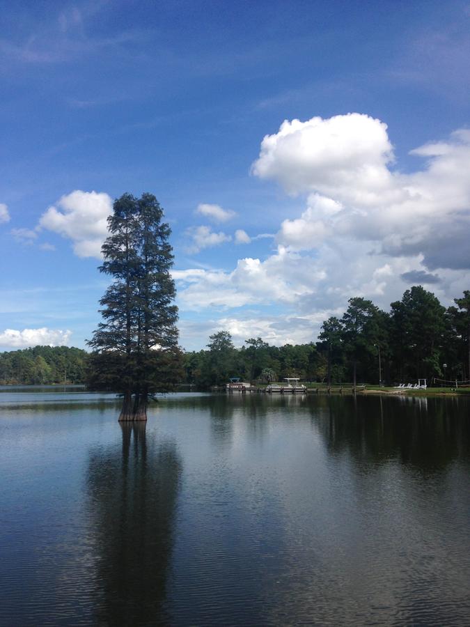 Located In The Beautiful Of Charleston - thumb 2