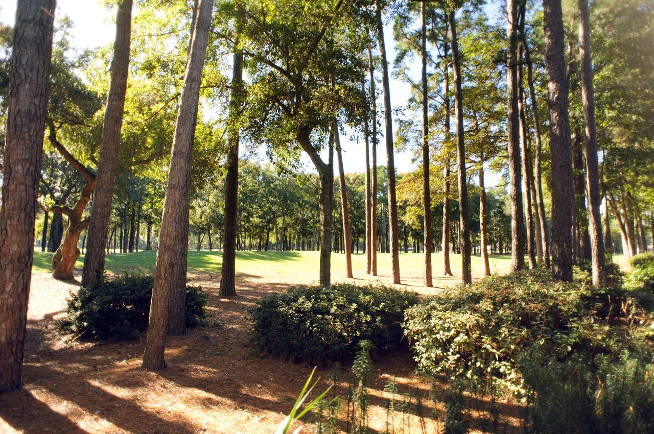 Pawleys Plantation Golf & Country Club - thumb 3
