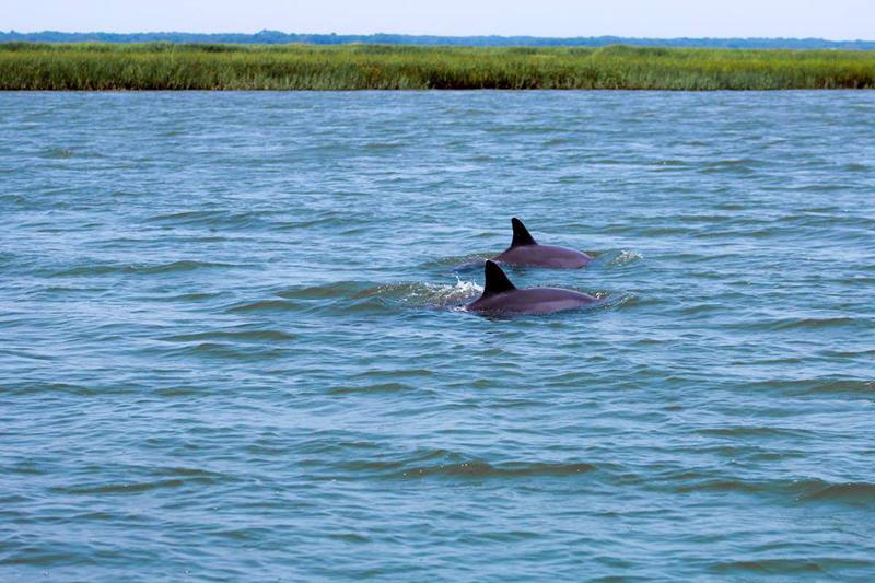 142 John Fripp Villa - Four Bedroom House - thumb 22