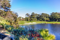 4910 Turtle Point Villa USA Accommodation