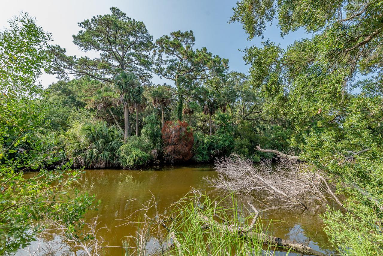 5 Bufflehead Drive - thumb 27