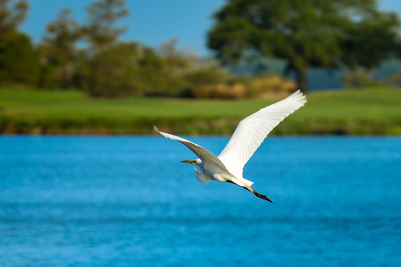 4829 Turtle Cove Villa - thumb 4