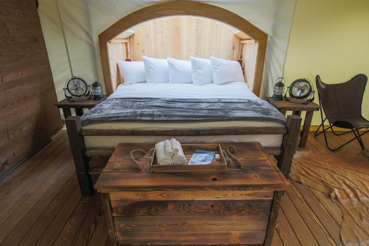 Under Canvas Mount Rushmore - thumb 18