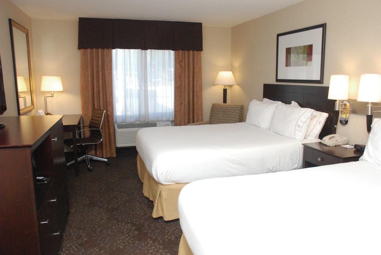 Holiday Inn Express & Suites Hill City-Mt. Rushmore Area - thumb 3